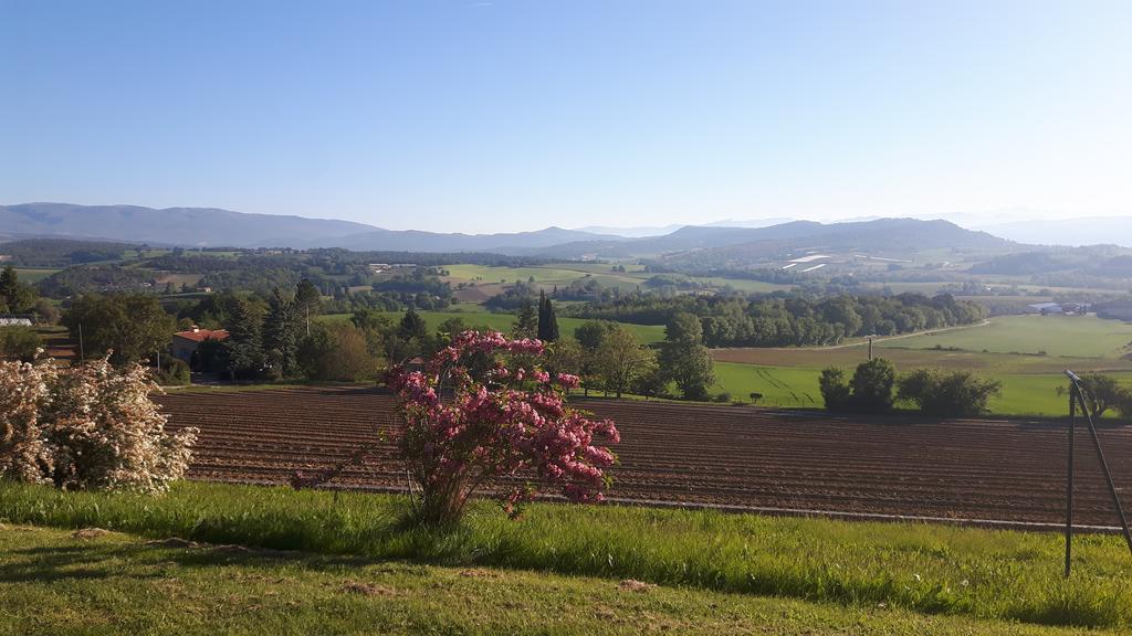 La Magnanerie Villa Niozelles Bagian luar foto