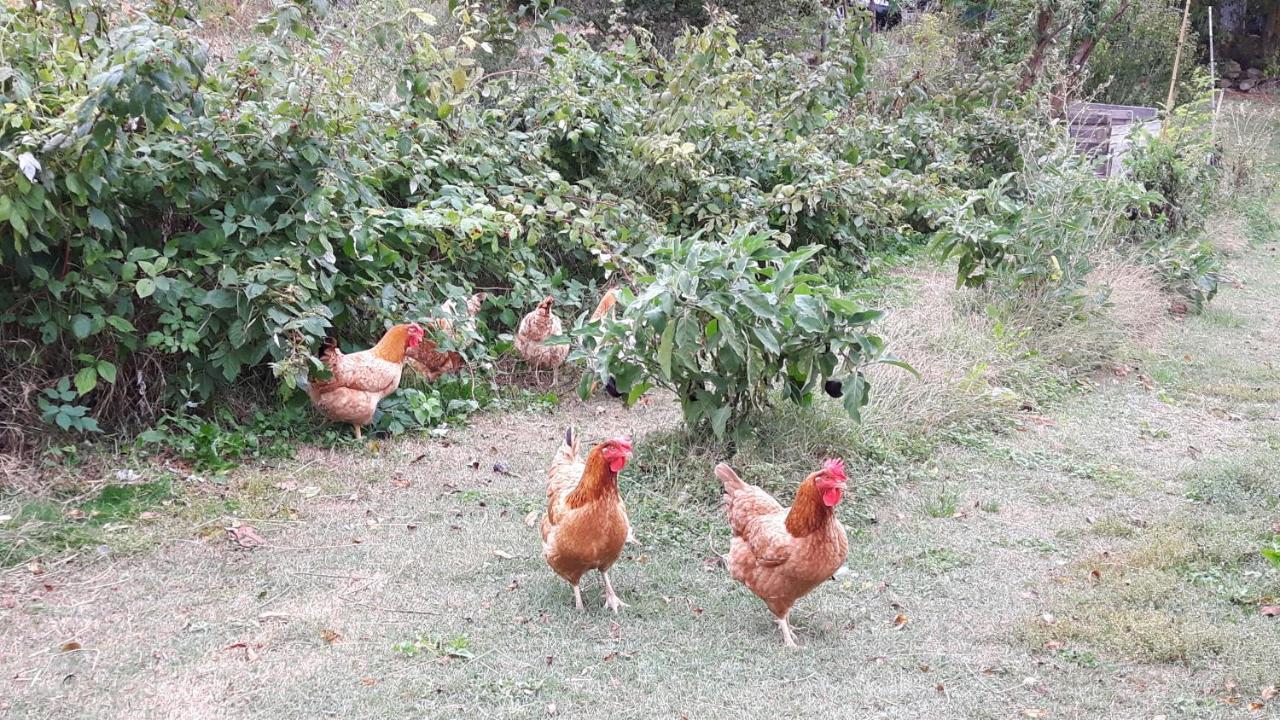 La Magnanerie Villa Niozelles Bagian luar foto
